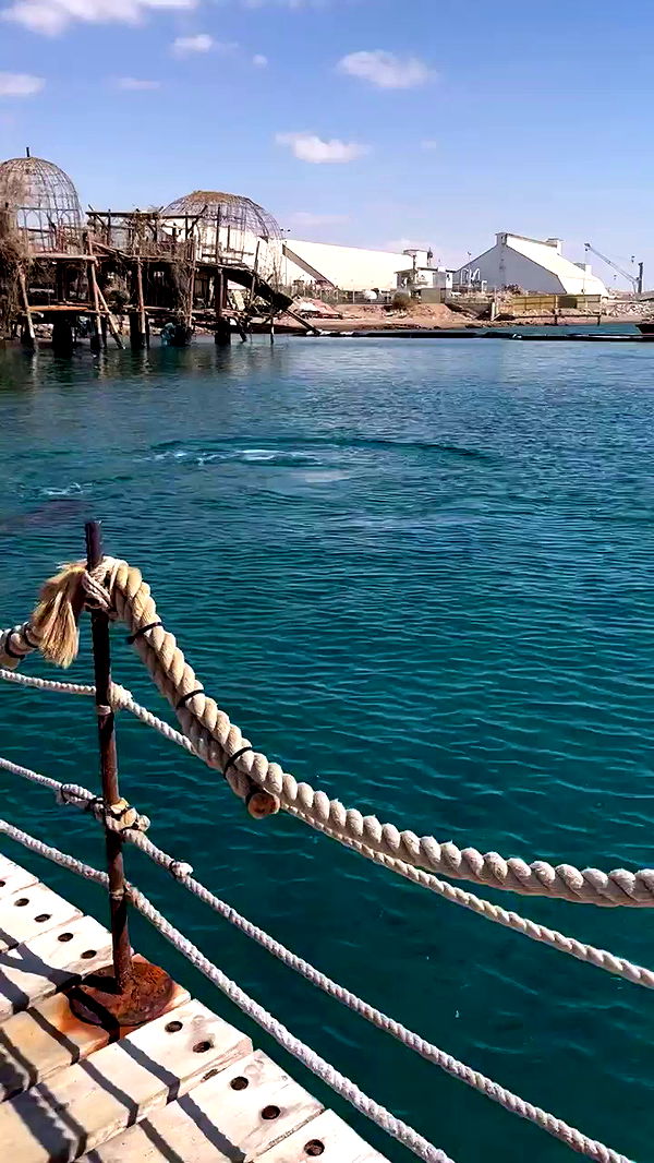 jaroslava_klavir archive video preview