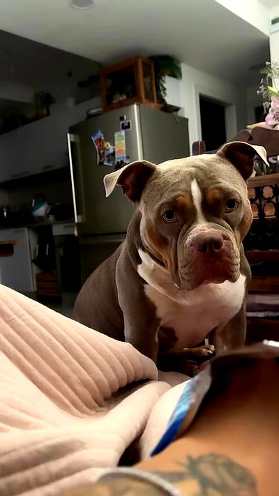 kesemgreenyer kesemgreenyer archive video