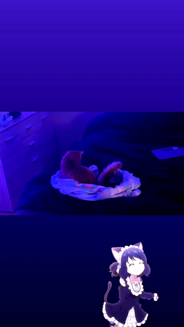 leenalleee archive video preview
