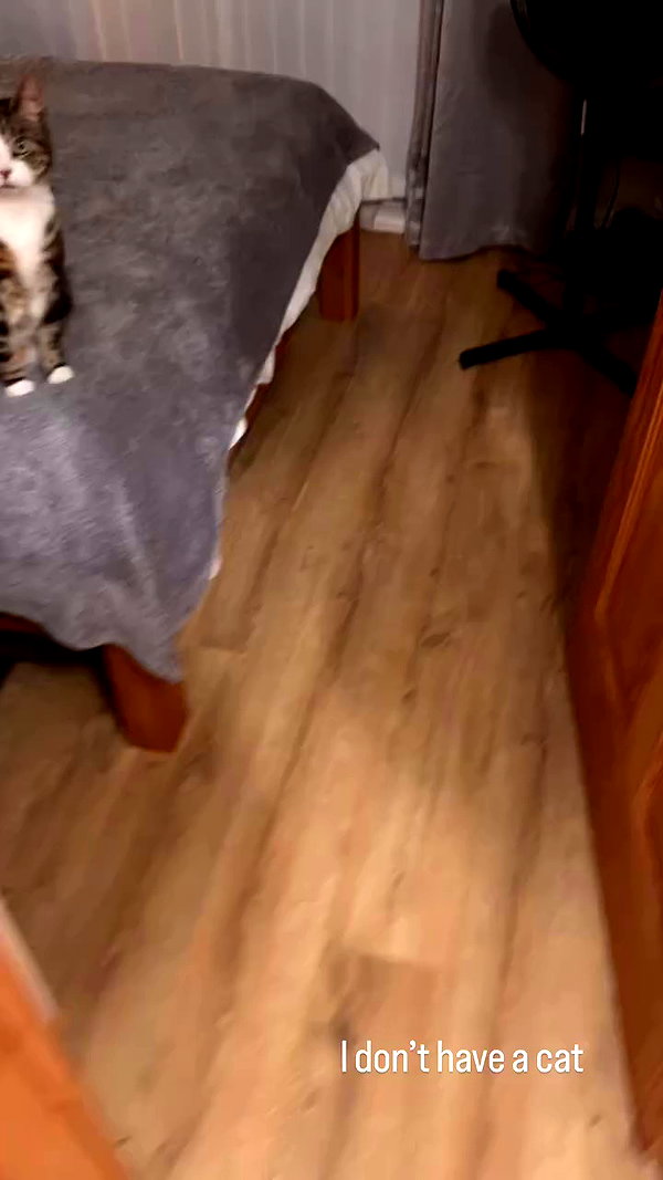 emmmarshalll archive video preview