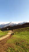 noa_mendel_ Altpins Profile Picture