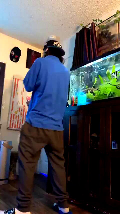 novahnovielli archive video preview