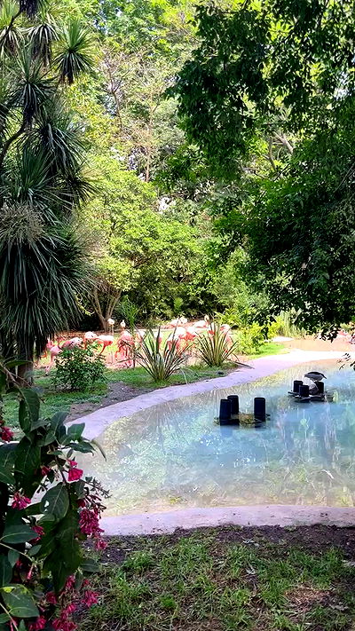 jaroslava_klavir jaroslava_klavir archive video