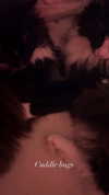sydney_melman Altpins Profile Picture