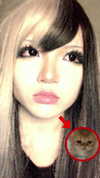 phokyo1 Altpins Profile Picture