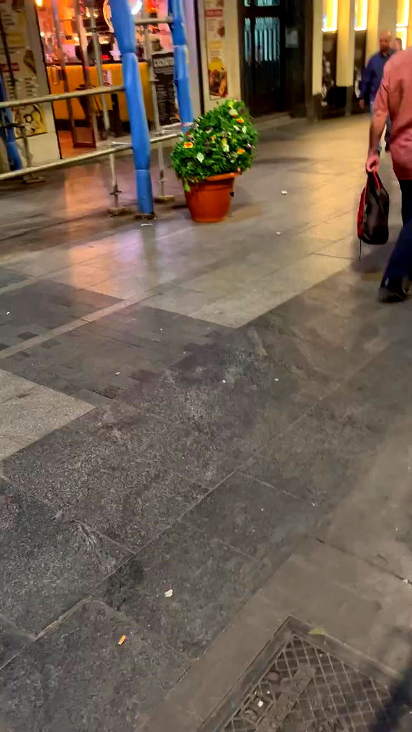 jaroslava_klavir archive video preview