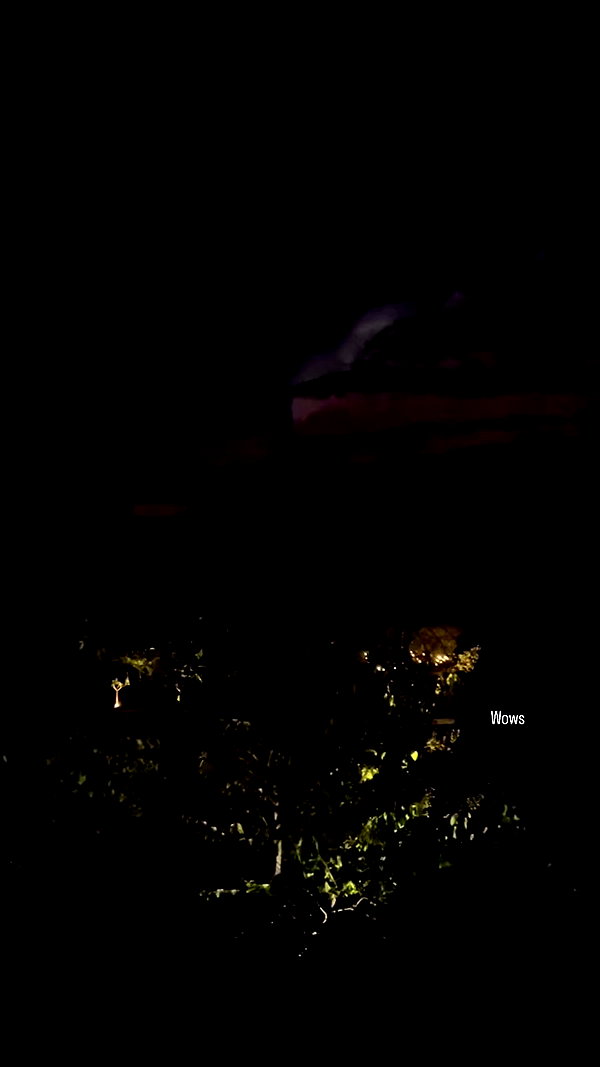 emmmarshalll archive video preview