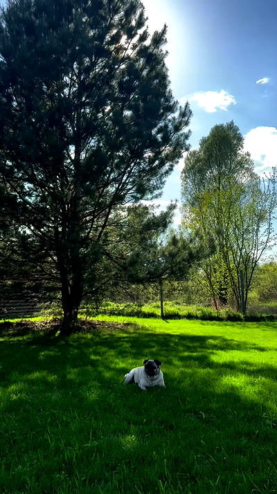 nyityam nyityam archive video