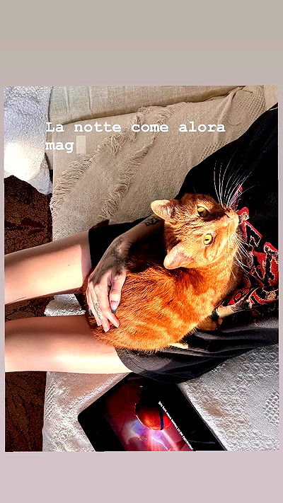 winbun.io winbun.io archive video