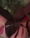 vampirec0wgirl Altpins Profile Picture