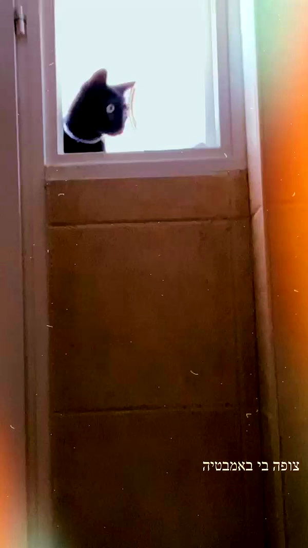 feelbetterinmysweater archive video preview