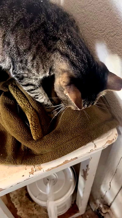 hellokittyangel666 hellokittyangel666 archive video