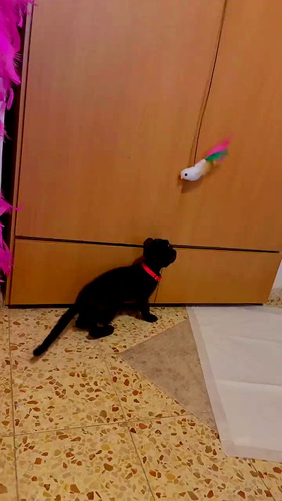 feelbetterinmysweater feelbetterinmysweater archive video