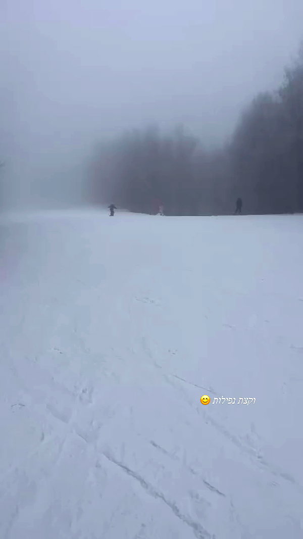 michal.azulay2 archive video preview