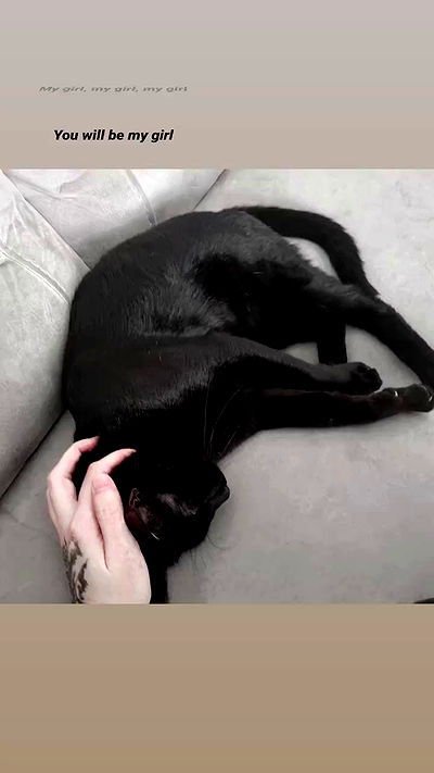 shayli_or shayli_or archive video