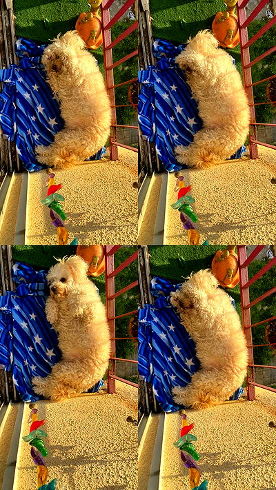 feelbetterinmysweater feelbetterinmysweater archive video