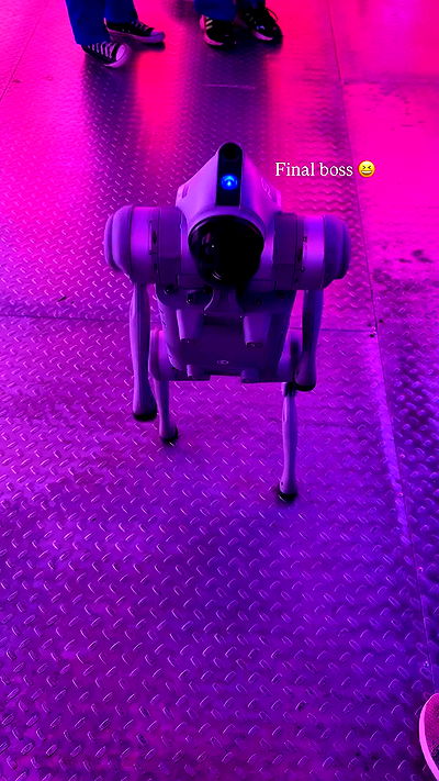 ninja.vi ninja.vi archive video