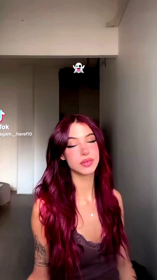 agam._.harel archive video preview