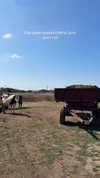 chebotarev_evgeny Altpins Profile Picture