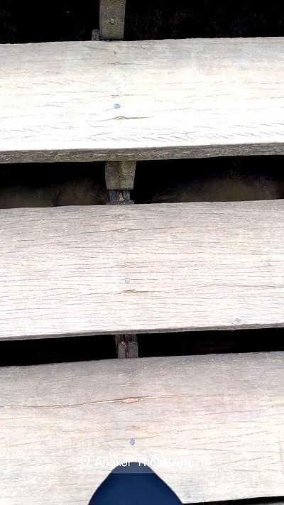 kesemgreenyer kesemgreenyer archive video