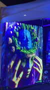 _lironatias Altpins Profile Picture