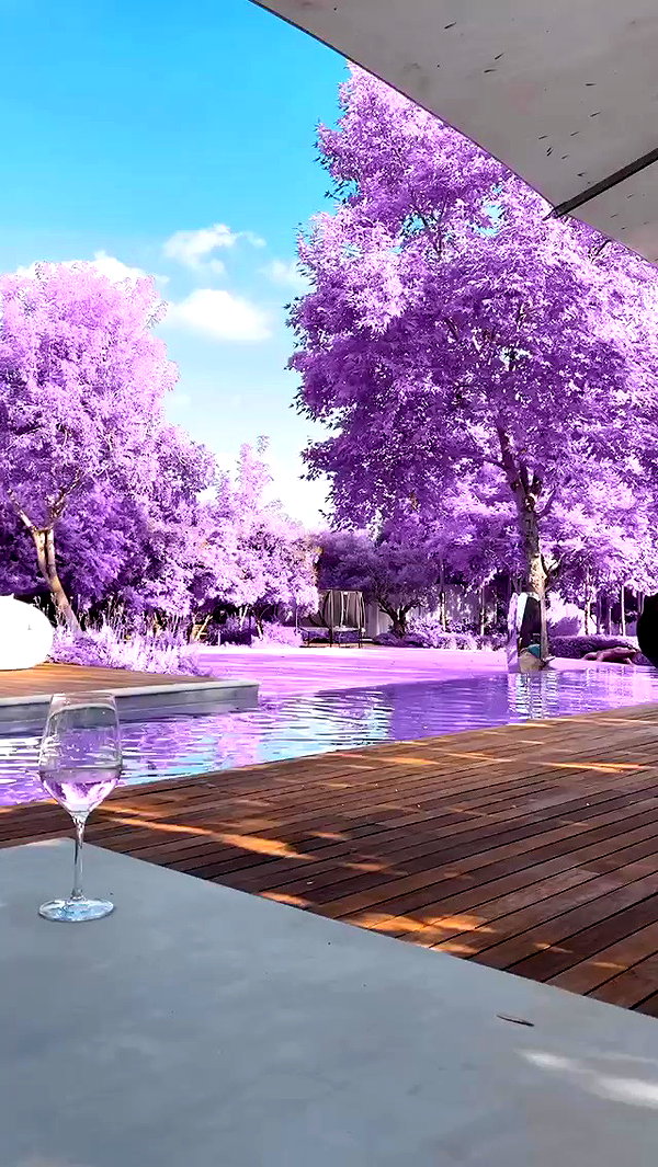 sonia_litvanchuk archive video preview