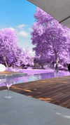 sonia_litvanchuk Altpins Profile Picture
