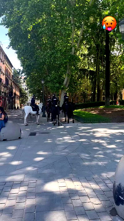 jaroslava_klavir jaroslava_klavir archive video