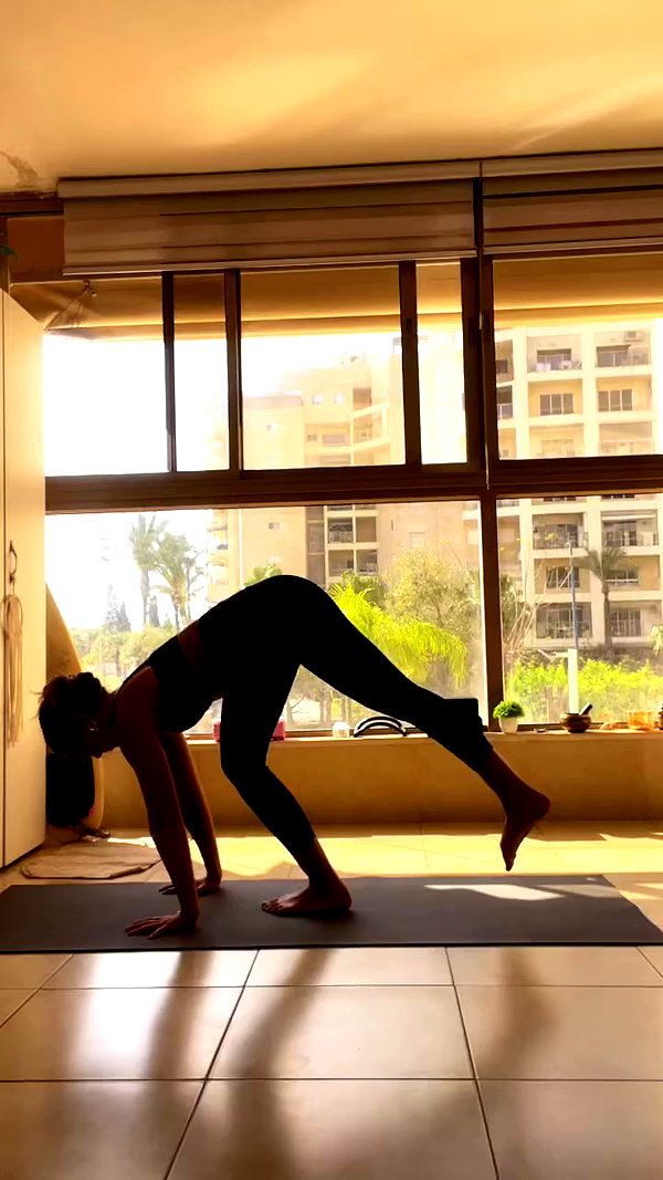 liad.arazi archive video preview