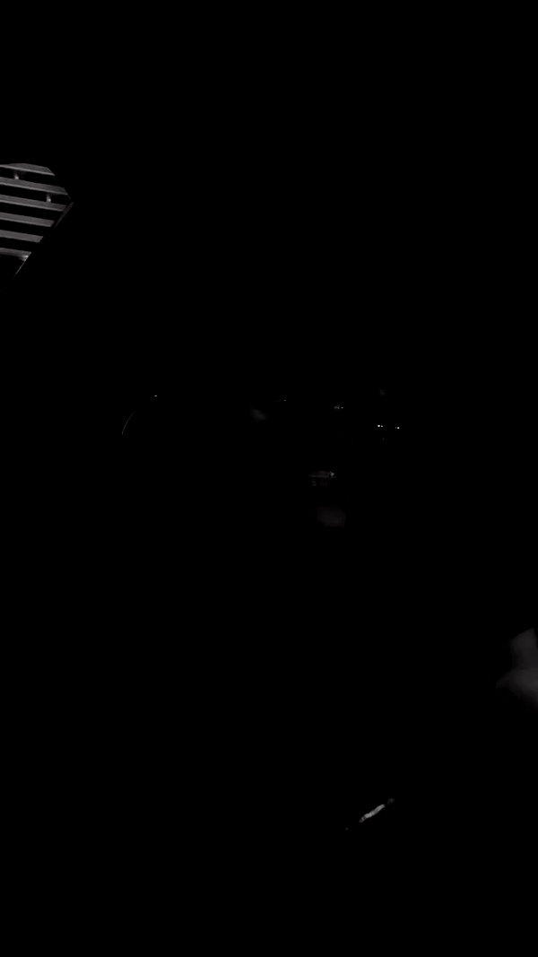 ellalee archive video preview