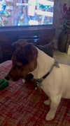 zaperwave Altpins Profile Picture