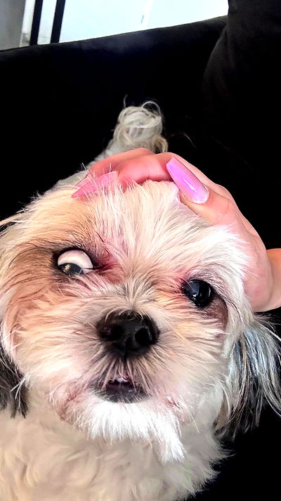 natalllluli natalllluli archive video