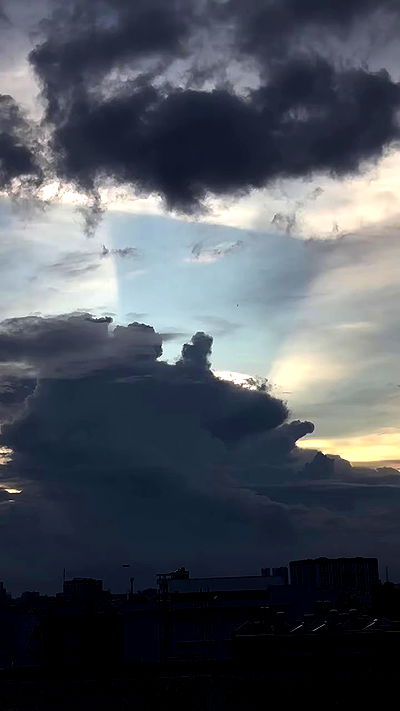 linnnh__h linnnh__h archive video