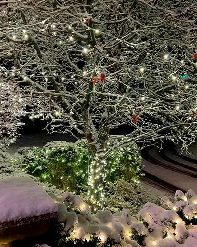 iamcardib iamcardib archive video