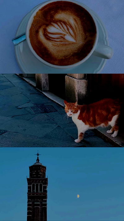 lissi77 lissi77 archive video