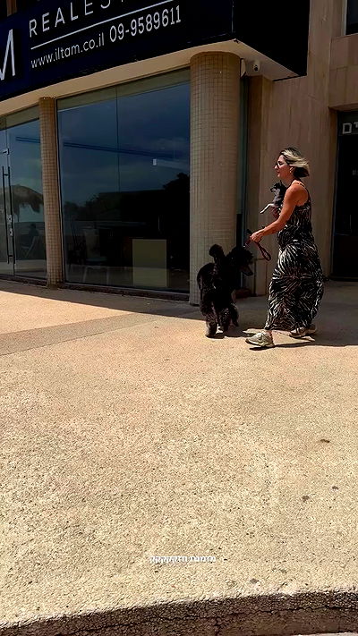 justlerman justlerman archive video