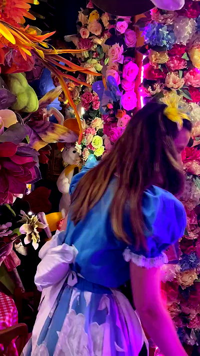 jaroslava_klavir jaroslava_klavir archive video