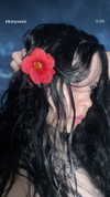 kkimynomi Altpins Profile Picture