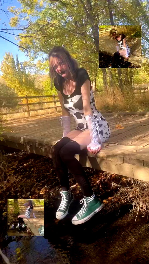 _animechika_ archive video preview