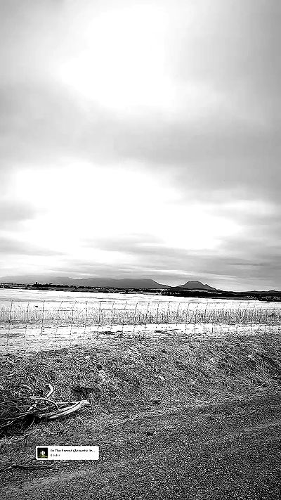 piper.jaylen piper.jaylen archive video