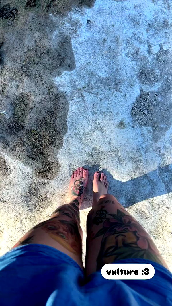 juneeberri archive video preview