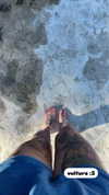 juneeberri Altpins Profile Picture