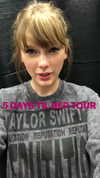 taylorswift Altpins Profile Picture