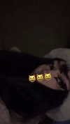 algofobica Altpins Profile Picture
