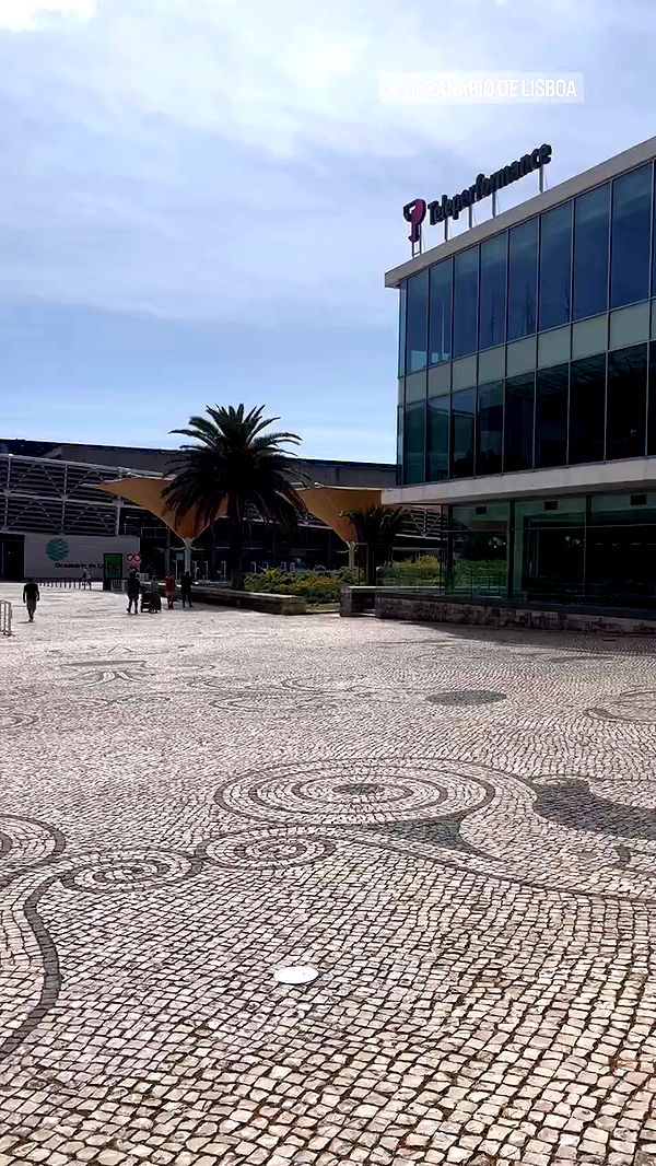 jaroslava_klavir archive video preview