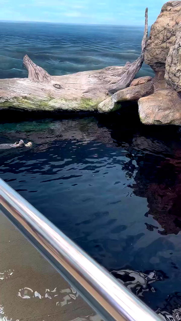 jaroslava_klavir archive video preview