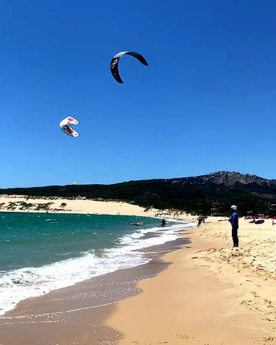 yam_adler yam_adler archive video