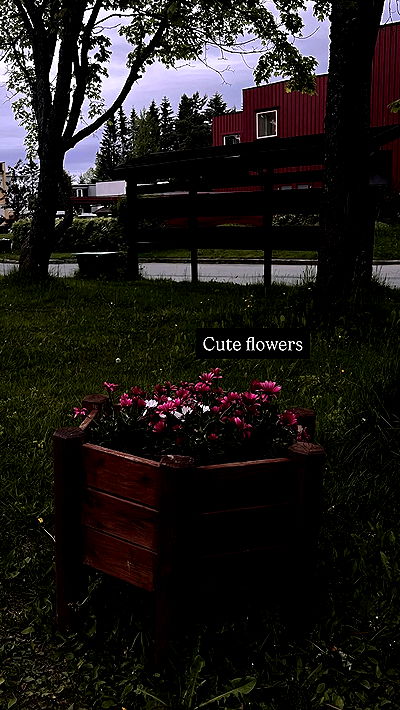 milkgore milkgore archive video