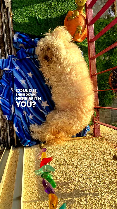 feelbetterinmysweater feelbetterinmysweater archive video