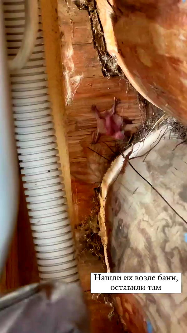 nyityam archive video preview